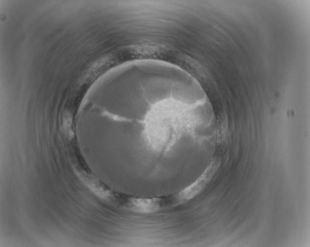 X0000087630187200705241224