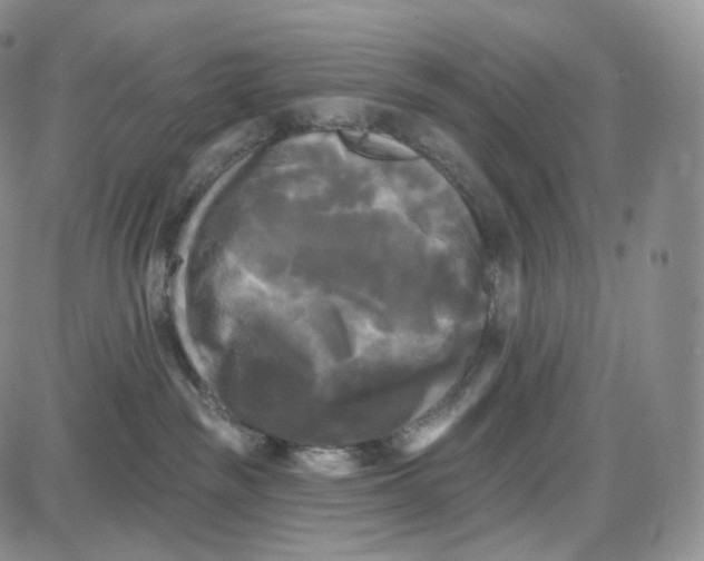 X0000087630189200705241224