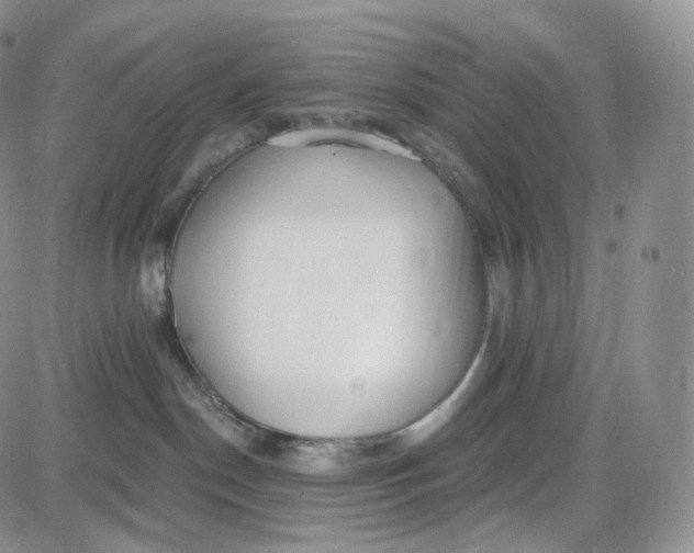 X0000087630190200705241224