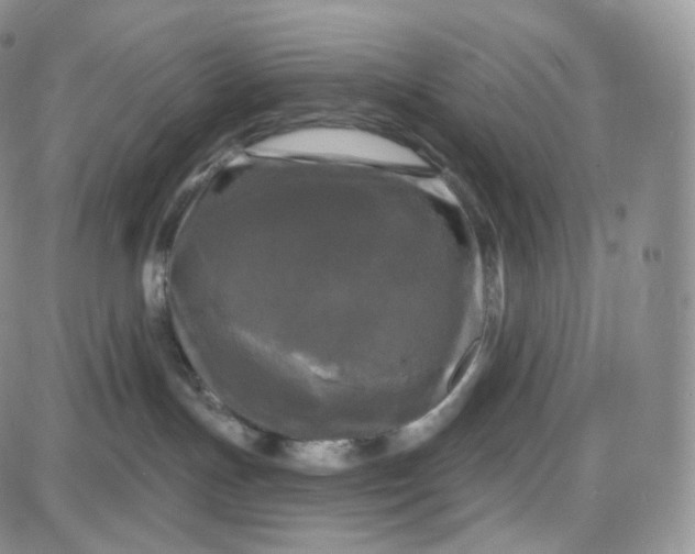 X0000087630191200705241224