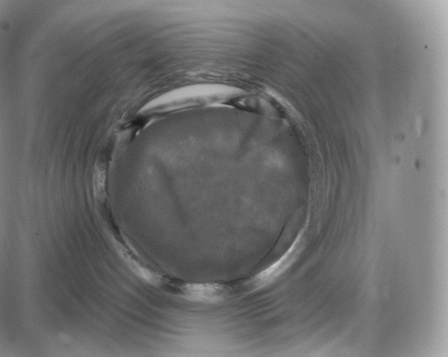 X0000087630192200705241224