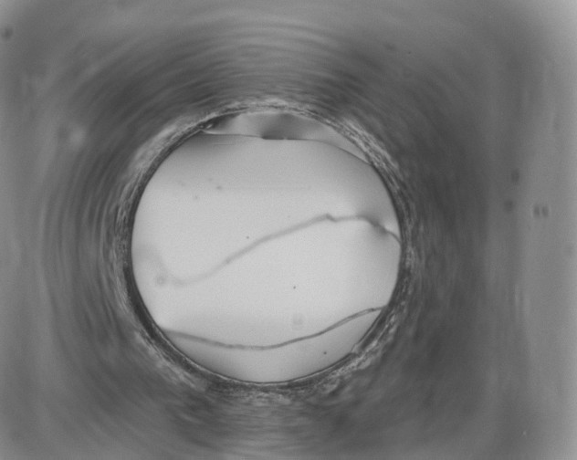 X0000087630193200705241223