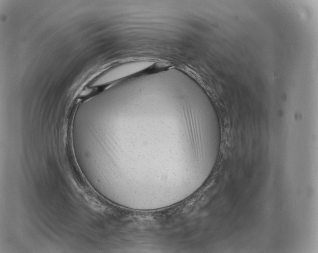 X0000087630194200705241223