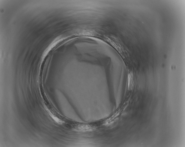 X0000087630195200705241223