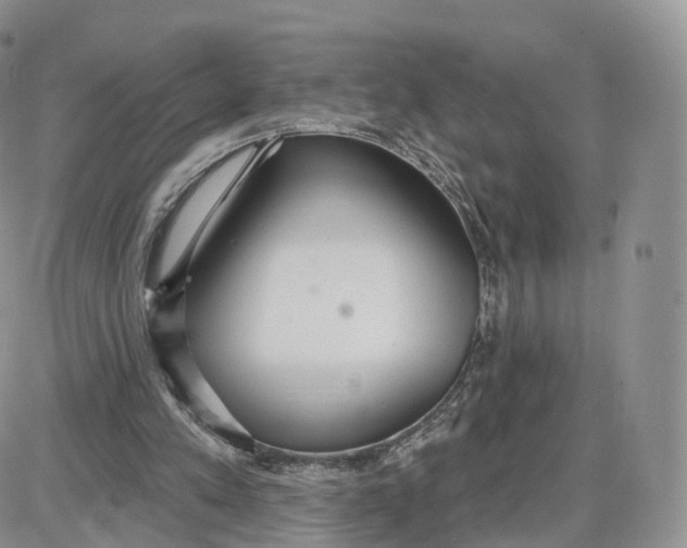 X0000087630197200705241223