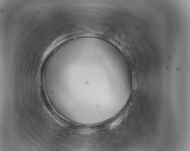 X0000087630198200705241223