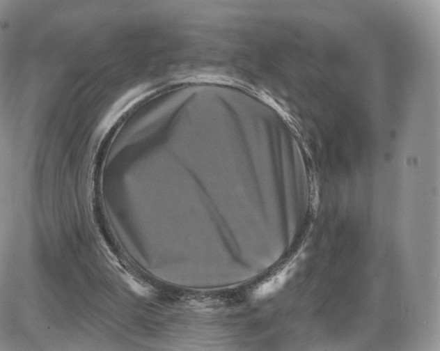 X0000087630199200705241223