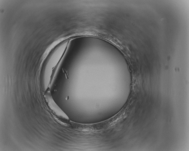 X0000087630200200705241223