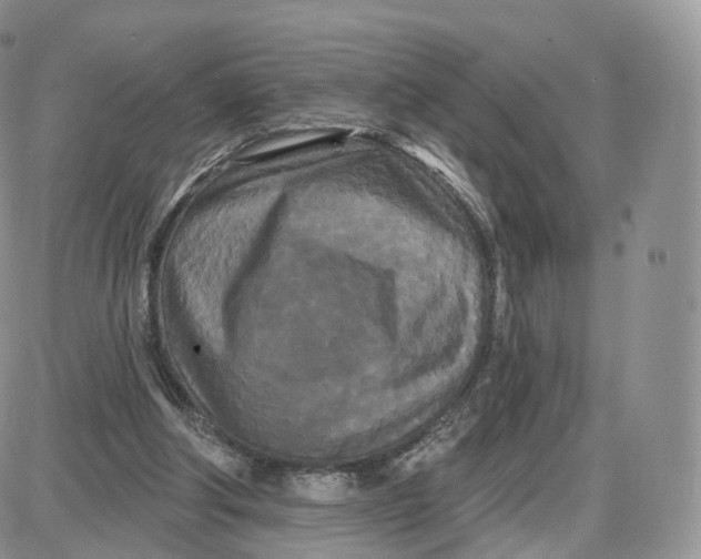 X0000087630202200705241223