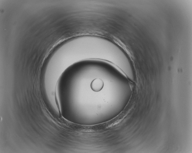 X0000087630203200705241223