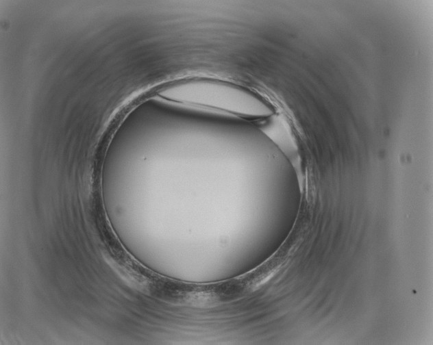 X0000087630204200705241223