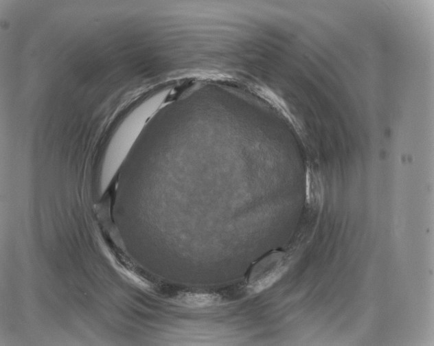 X0000087630205200705241223