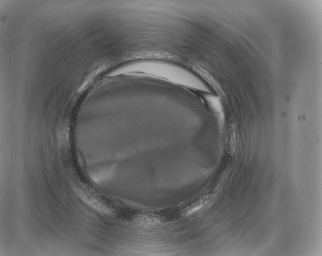 X0000087630207200705241223