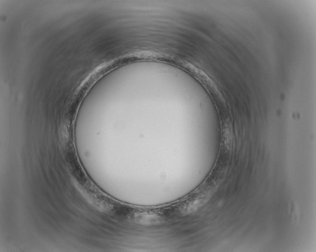 X0000087630208200705241223