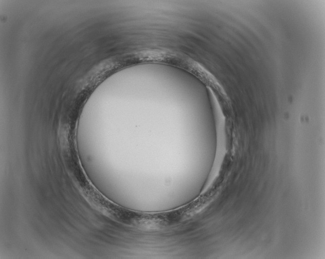 X0000087630209200705241223