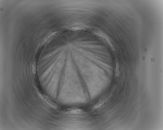 X0000087630210200705241223