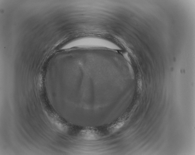 X0000087630211200705241223