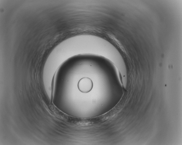 X0000087630213200705241223