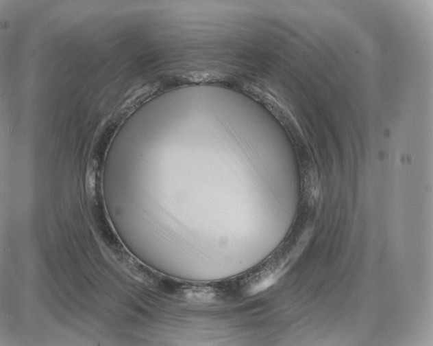 X0000087630214200705241223