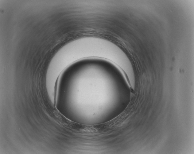 X0000087630215200705241223