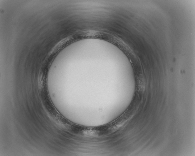 X0000087630216200705241223