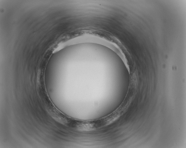 X0000087630217200705241223