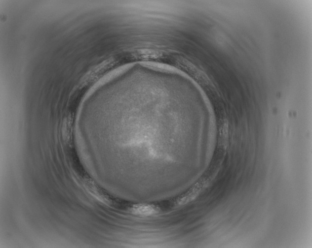 X0000087630218200705241223