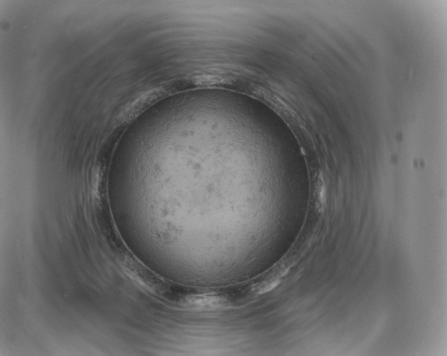 X0000087630219200705241223