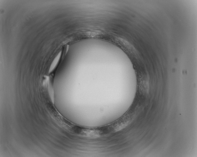 X0000087630221200705241223