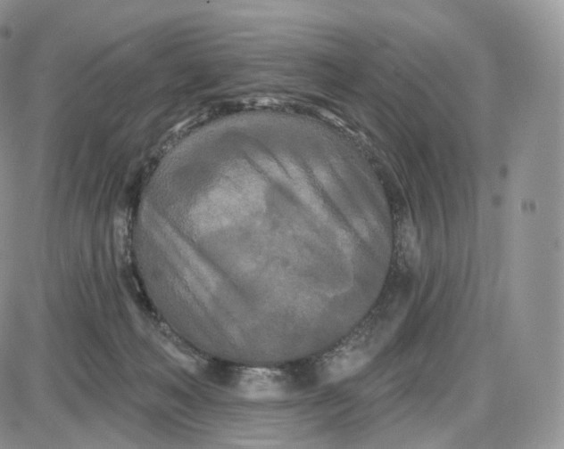 X0000087630222200705241223