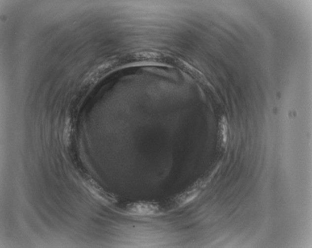 X0000087630223200705241223