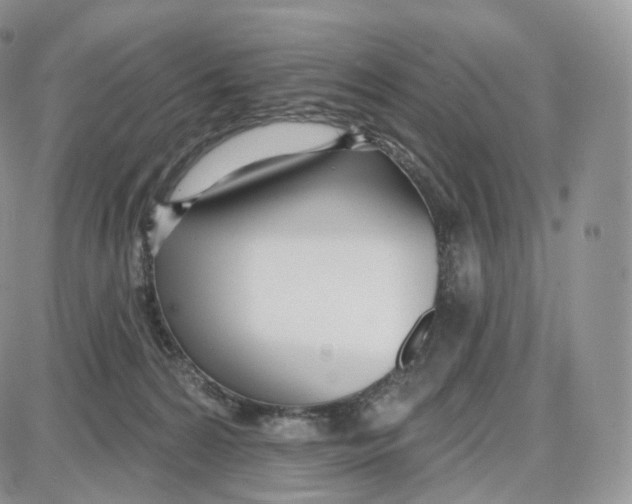 X0000087630224200705241223