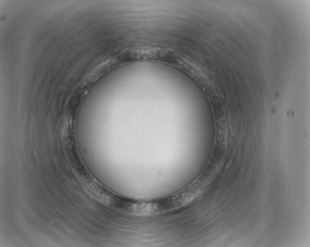 X0000087630225200705241223