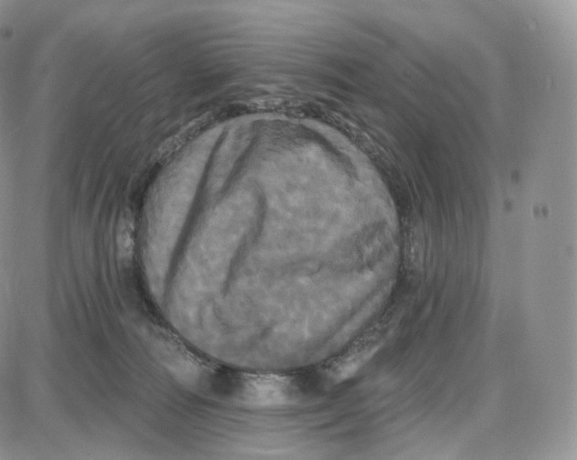 X0000087630226200705241223