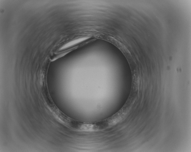 X0000087630227200705241223