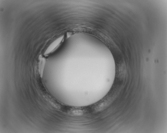 X0000087630228200705241223