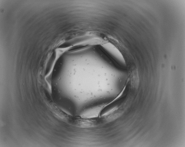 X0000087630229200705241223