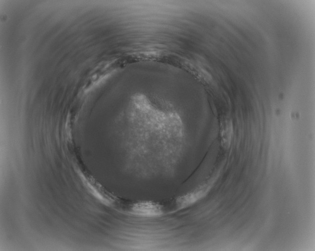 X0000087630231200705241223