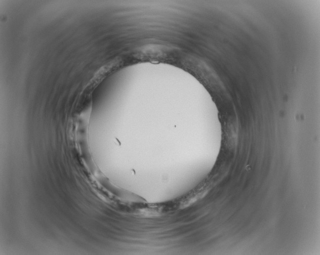 X0000087630232200705241223