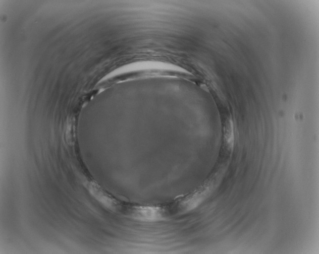 X0000087630233200705241223