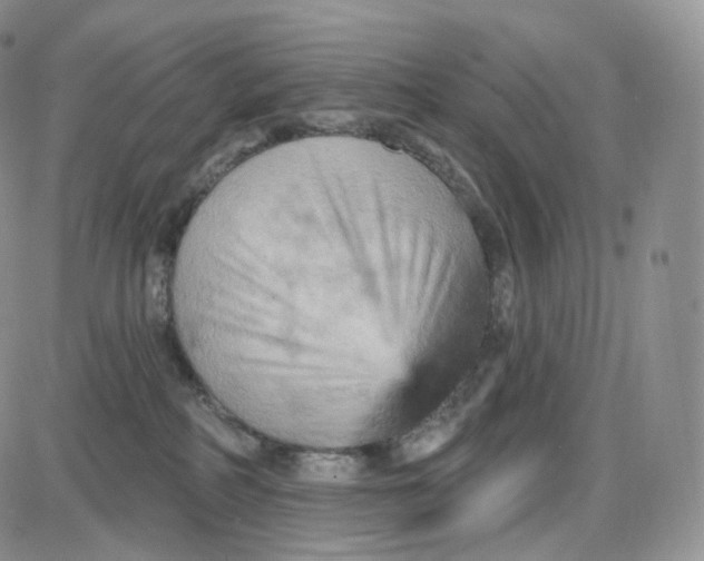 X0000087630234200705241223