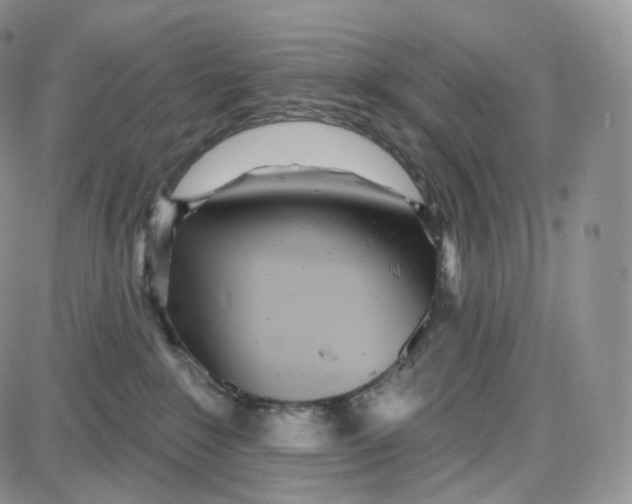 X0000087630235200705241223