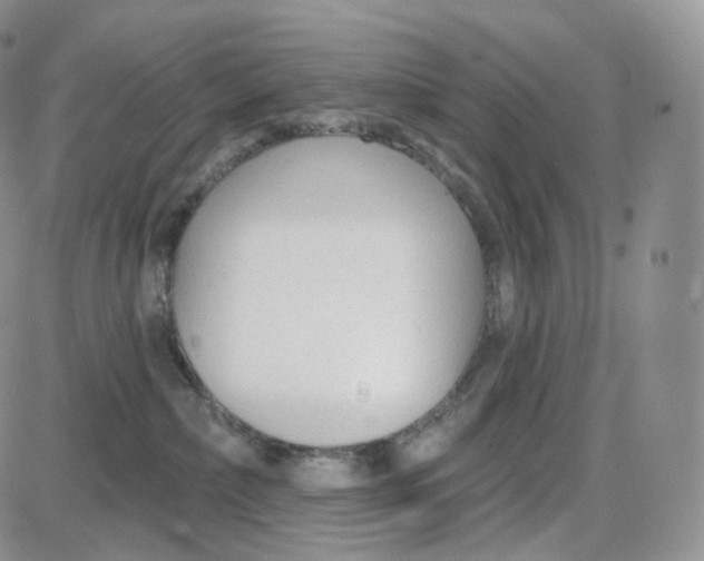 X0000087630236200705241222