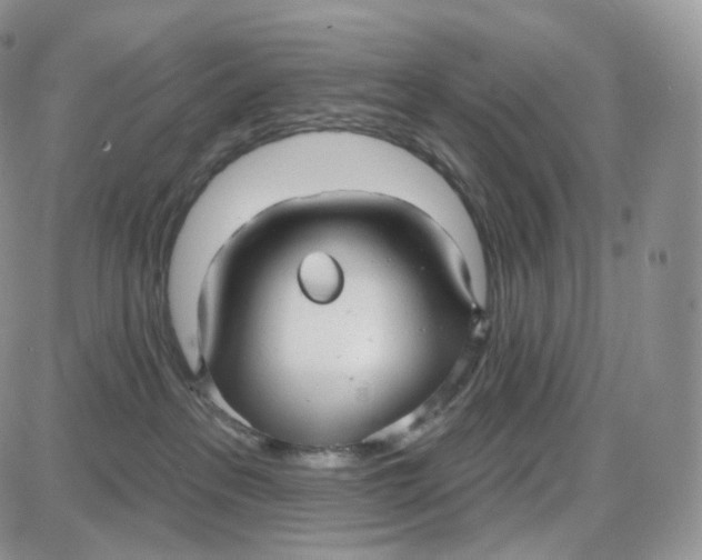 X0000087630237200705241222