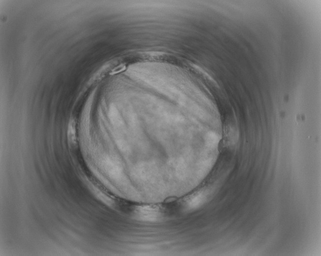 X0000087630238200705241222