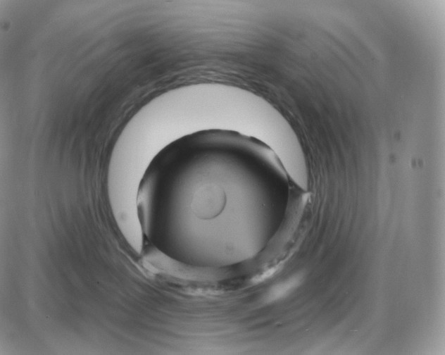 X0000087630239200705241222