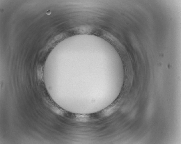 X0000087630240200705241222