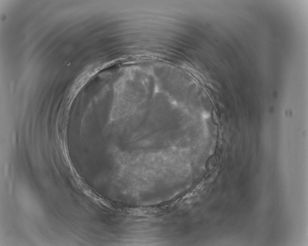 X0000087630241200705241222