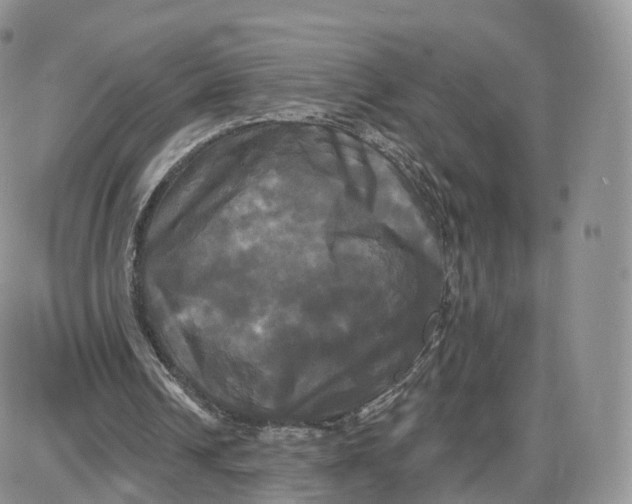 X0000087630242200705241222