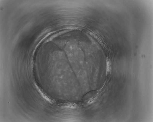 X0000087630243200705241222